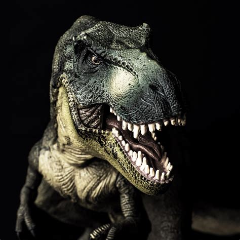 Mittag Schlamm Kämpfer Dinosaurus Rex Baumeln Penetration Abstoßen