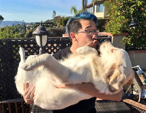 Survey Finds Humans Kiss Their Dogs More Than Their Partners Bored Panda