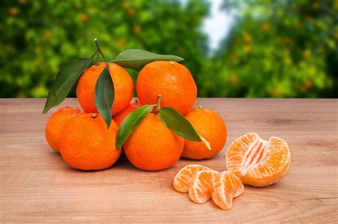 Más Típico Imposible Mandarinas y clementinas Las diferencias