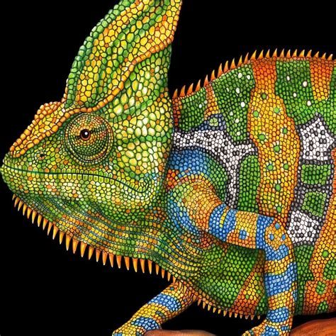 Tim Jeffs Art On Instagram Just Finished My Veiled Chameleon This Is