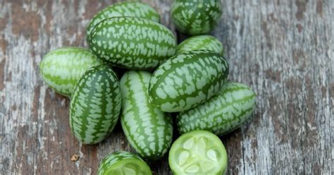 Cucamelons Are The Cucumber Melon Hybrid Of Your Adorable Dreams