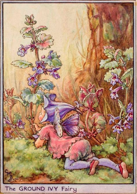 The Fairies Of The Wayside Archives Flower Fairies