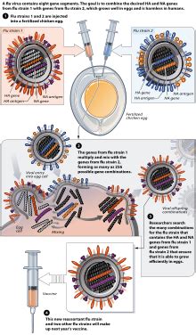Edward jenner vaccinating a room full of people who then sprout cows from their bodies. Influenza vaccine - Wikipedia
