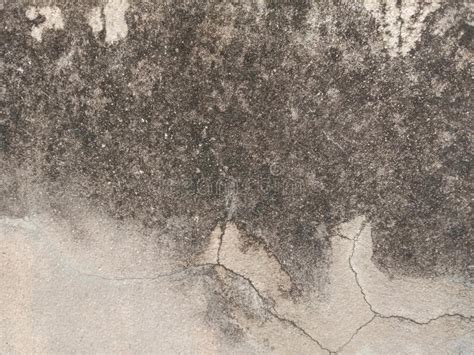 Old Cement Concrete Backgrounds and Textures for Wallpaper Design