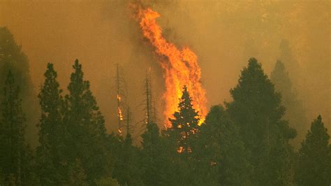 Cambio Climático El Gas Generado Por Los Incendios Forestales También