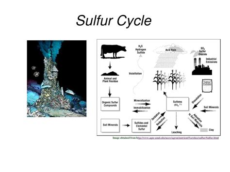 Ppt Sulfur Cycle Powerpoint Presentation Free Download Id584846