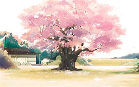 Anime Cherry Blossom Tree Background ~ Cherry Blossom Trees Wallpapers