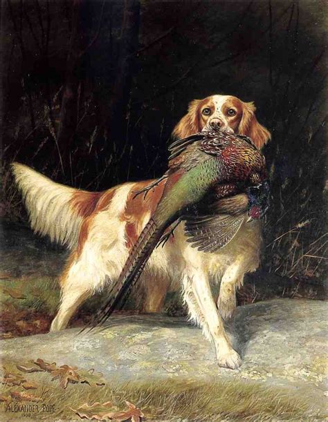 Alexander Pope Dog Paintings Famous Dogs Dog Art