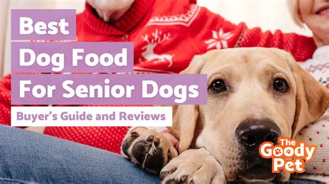 12 Best Senior Dog Foods November 2019 Thegoodypet