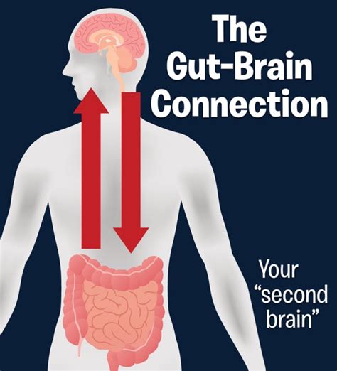 gut feelings and the gut brain axis good gut health improves your moodmindd