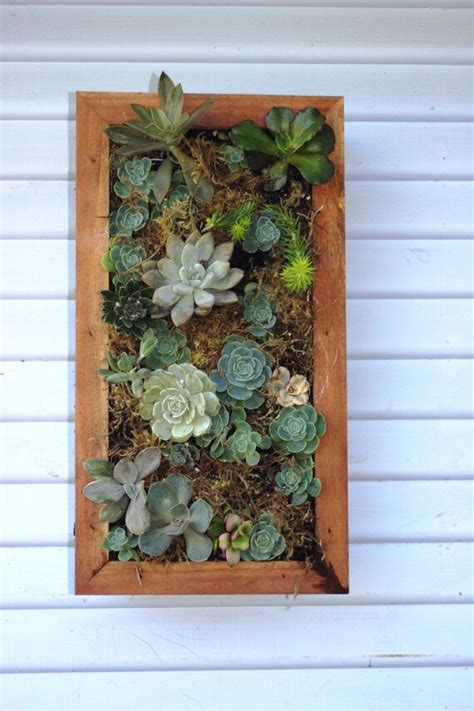 Vertical Hanging Wall Planter Box For Succulents