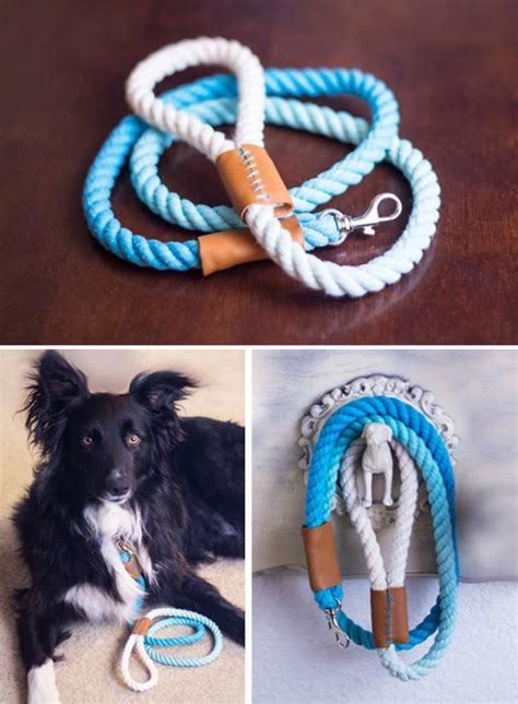 Diy Dog Crafts To Make For Dogs And Dog Lovers