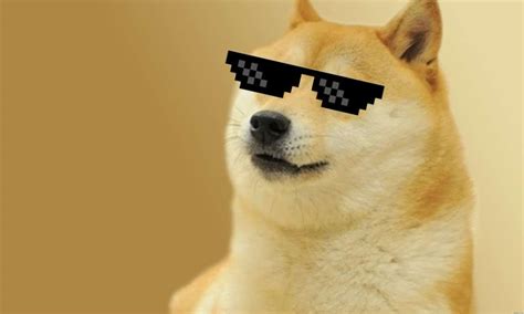 In keeping with doge's humorous origins, a doge gold coin has been earmarked for delivery to the moon by 2019 thanks to a crowdfunding effort. Dogecoin dispara mais de 150%, grupo do reddit pode ser ...