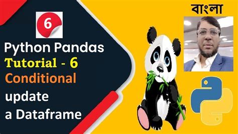 Python Pandas Tutorial 6 Conditional Update A Dataframe Index Wise Update Aksadur Bangla