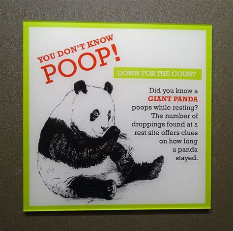 Dsc09933 Giant Panda Poop Sign You Dont Know Poop Flickr
