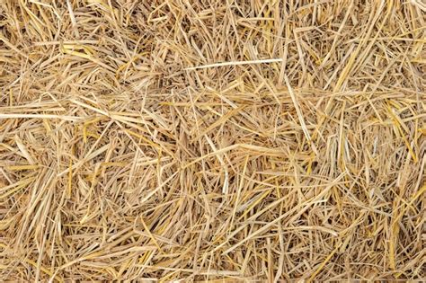 Premium Photo Dry Yellow Straw Grass Background Texture Closeup