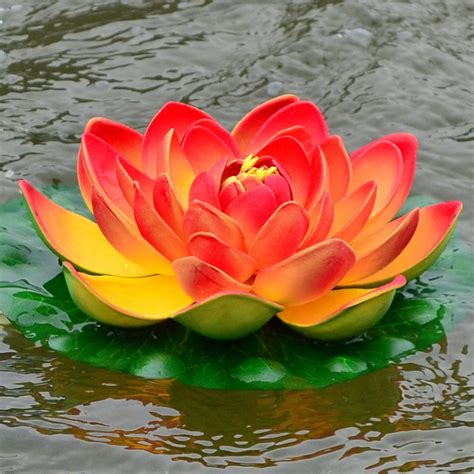 Lotus Flower In The Pond Today I Want To Take The Readers By Sam