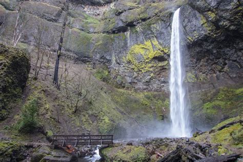 How To Hike To Elowah Falls And Upper Mccord Creek Falls