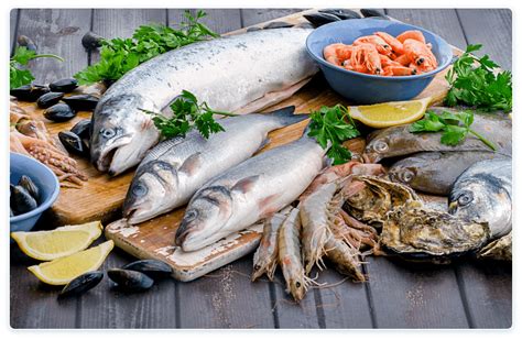 مواد تعليمية حساسية الطعام البحري