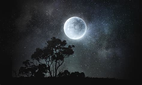 20 Meaning And Interpretations When You Dream Of Full Moon
