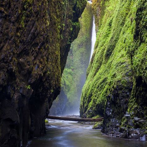 Hiking Oregons Oneonta Gorge Trazee Travel