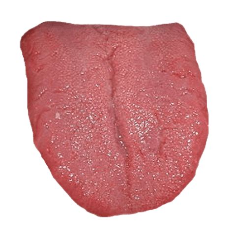 Tongue Png Image With Transparent Background Tongue Clipart Free My