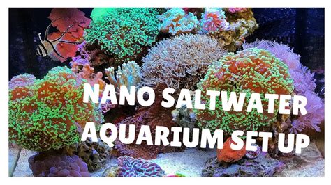 29g Biocube Nano Saltwater Reef Setup Youtube