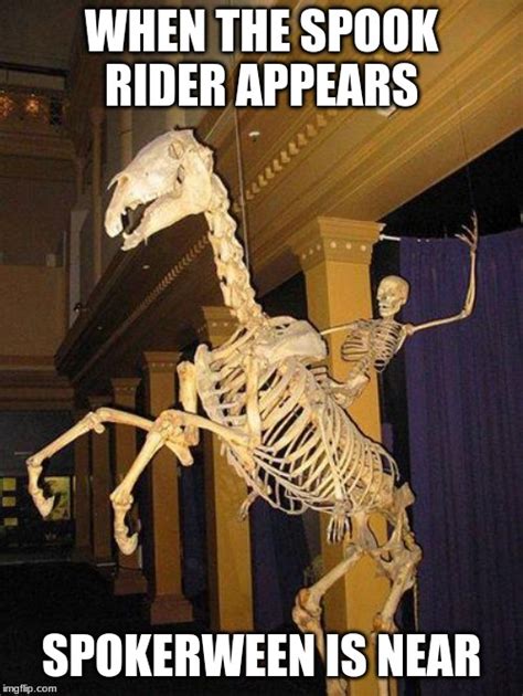 Image Tagged In Spooky Horse And Rider Skeleton Imgflip