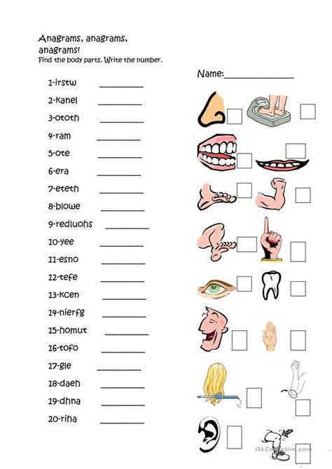 Parts Of The Body Anagrams English Esl Worksheets For