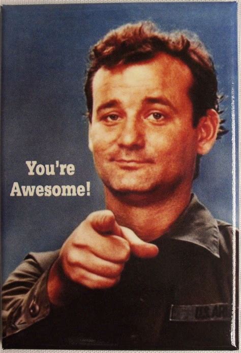 You Are Awesome Meme Bill Murray