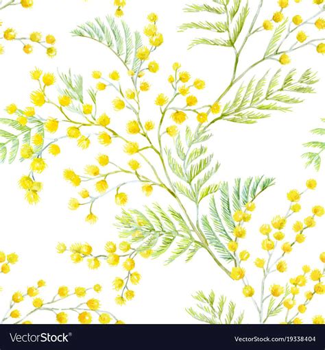 Watercolor Mimosa Pattern Royalty Free Vector Image Watercolor Plants