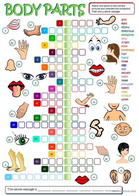 Body Parts Vocabulary Esl Crossword Puzzle Worksheet