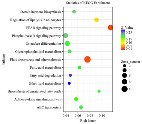 Gene ontology (go) and kyoto encyclopedia of genes and genomes (kegg) pathway enrichment analyses were subsequently conducted. KEGG pathway analysis of differentially expressed genes ...