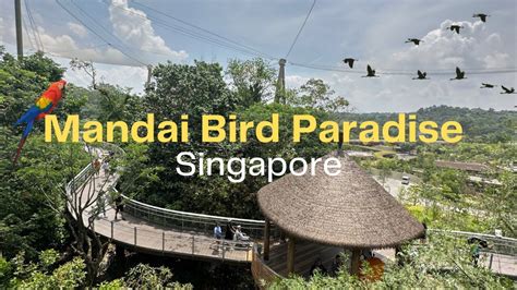Day Out At Mandai Bird Paradise Singapore Asias Largest Bird Park