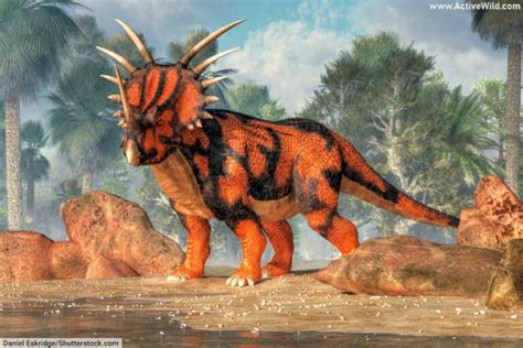 Cool Dinosaurs List With Pictures And Interesting Facts