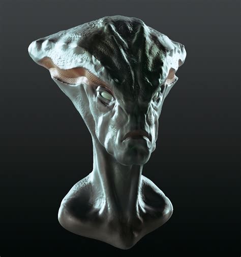 Projects in Computers: Sculptris: Head Design
