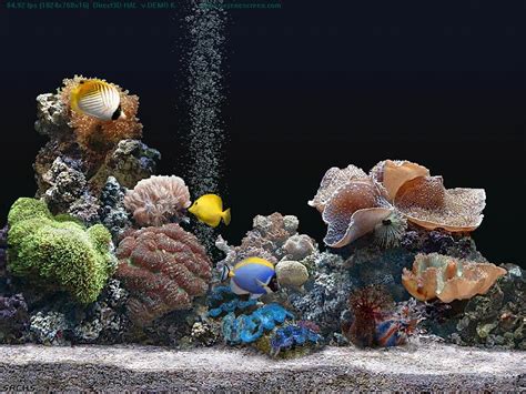 Download Serenescreen Marine Aquarium Is A Realistic Screensaver Of