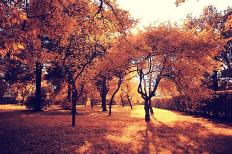 Autumn Scenery Stock Photo 01 Free Download