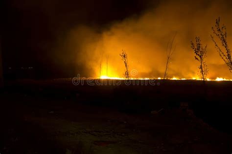 Forest Fire At Night Stock Image Image Of Cropping Destruction 43879109