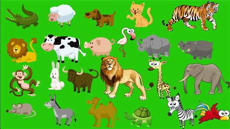 Learn Wild Animals Names And Sounds With Cartoon Characters And Real