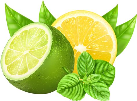 Lime clipart vector, Lime vector Transparent FREE for download on ...