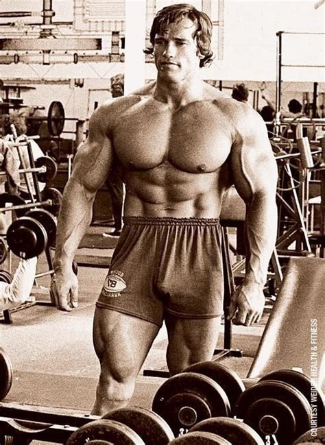 Arnold Schwarzenegger Arnold Schwarzenegger Bodybuilding Arnold