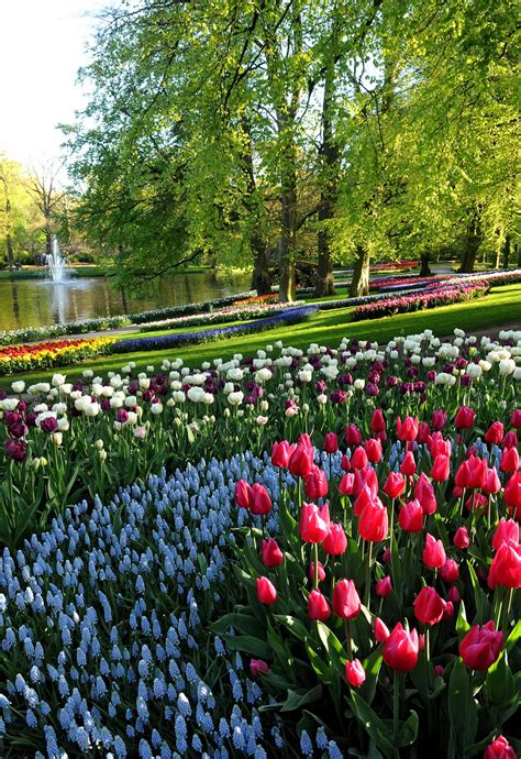 Keukenhof Gardens In Netherlands Tuin Soorten Bloemen Rondreis