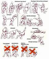 Photos of Judo Self Defense Techniques