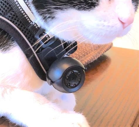 Cat Collar Camera A New Round Pet Video Camera For Cats Etsy