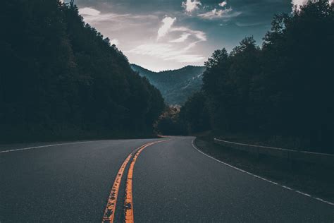 Free Images Tree Forest Horizon Cloud Sky Street Morning