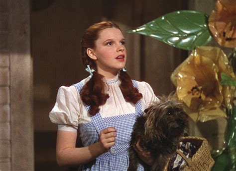 Toto And Dorothy Toto The Wizard Of Oz Photo Fanpop