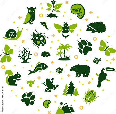 Wildlife Biodiversity Vector Illustration Concept With Icons Related