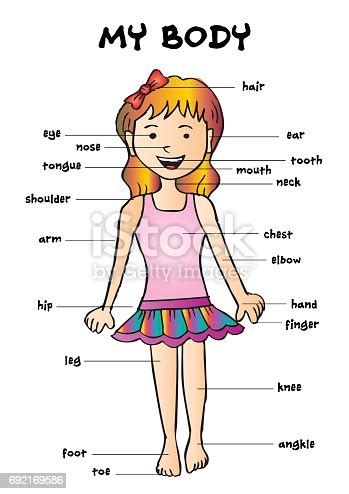 The findings across two experiments showed that women's bodies were reduced to their sexual body parts in perceivers' minds. My Body Educational Info Graphic Chart For Kids Showing Parts Of Human Body Of A Cute Cartoon ...