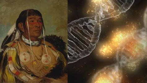 Many Americans Have ‘native American Dna’ What Does That Mean Genetic Literacy Project